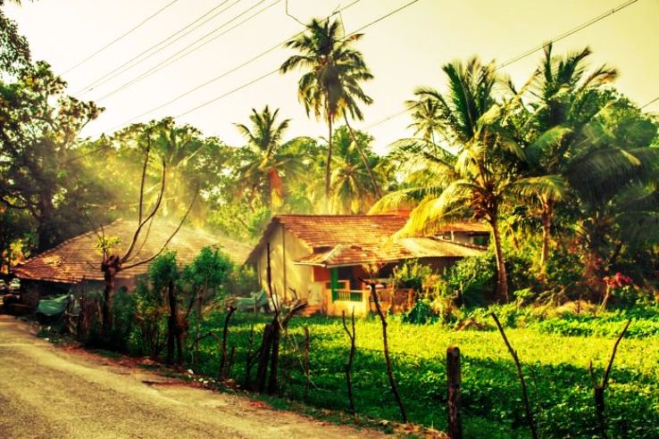Rural Goa